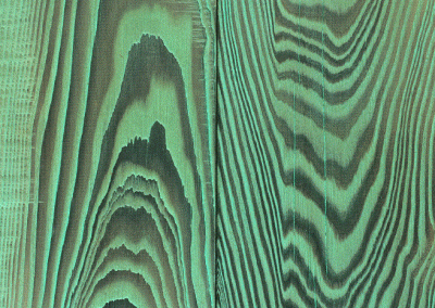 Shou Sugi Ban Timber Deep Emerald Sample.