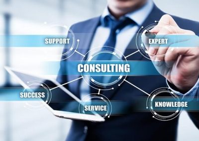 Expert Consulting In All Aspects Of The Project.