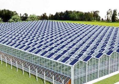 PV Agricultural Glasshouse Greenhouse Concept.