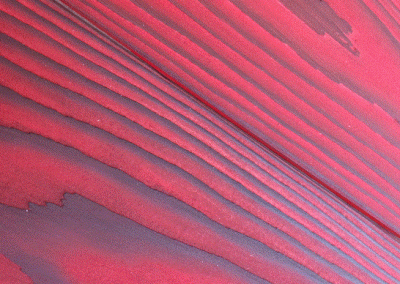 Yakisugi Timber Deep Red Sample.