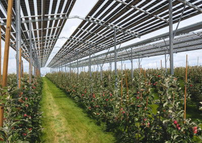 Field Agricultural Solar Canopy.